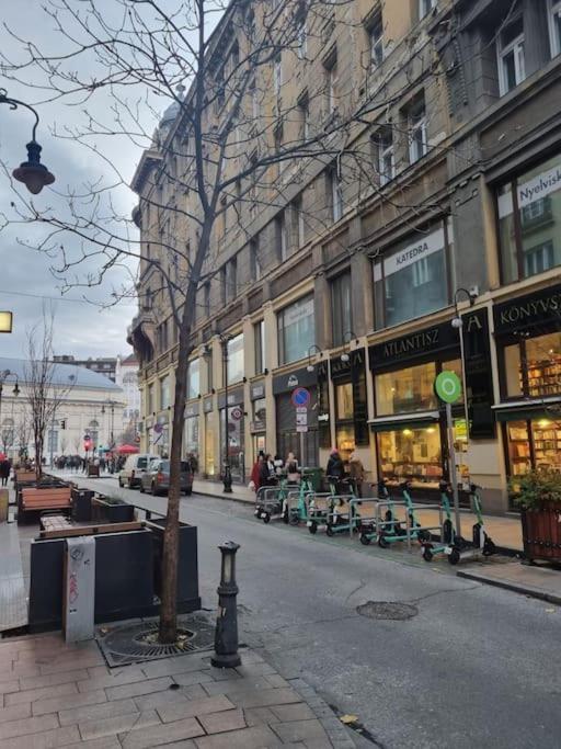 Danube Dwelling Asboth 19-1 Apartment Budapest Ngoại thất bức ảnh